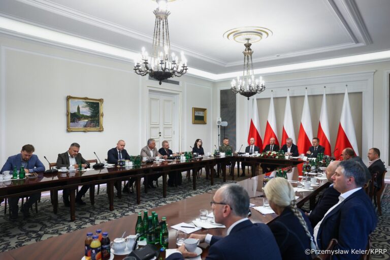 Rada Bezpieczeństwa i Obronności omówiła dostęp do broni - Polityka